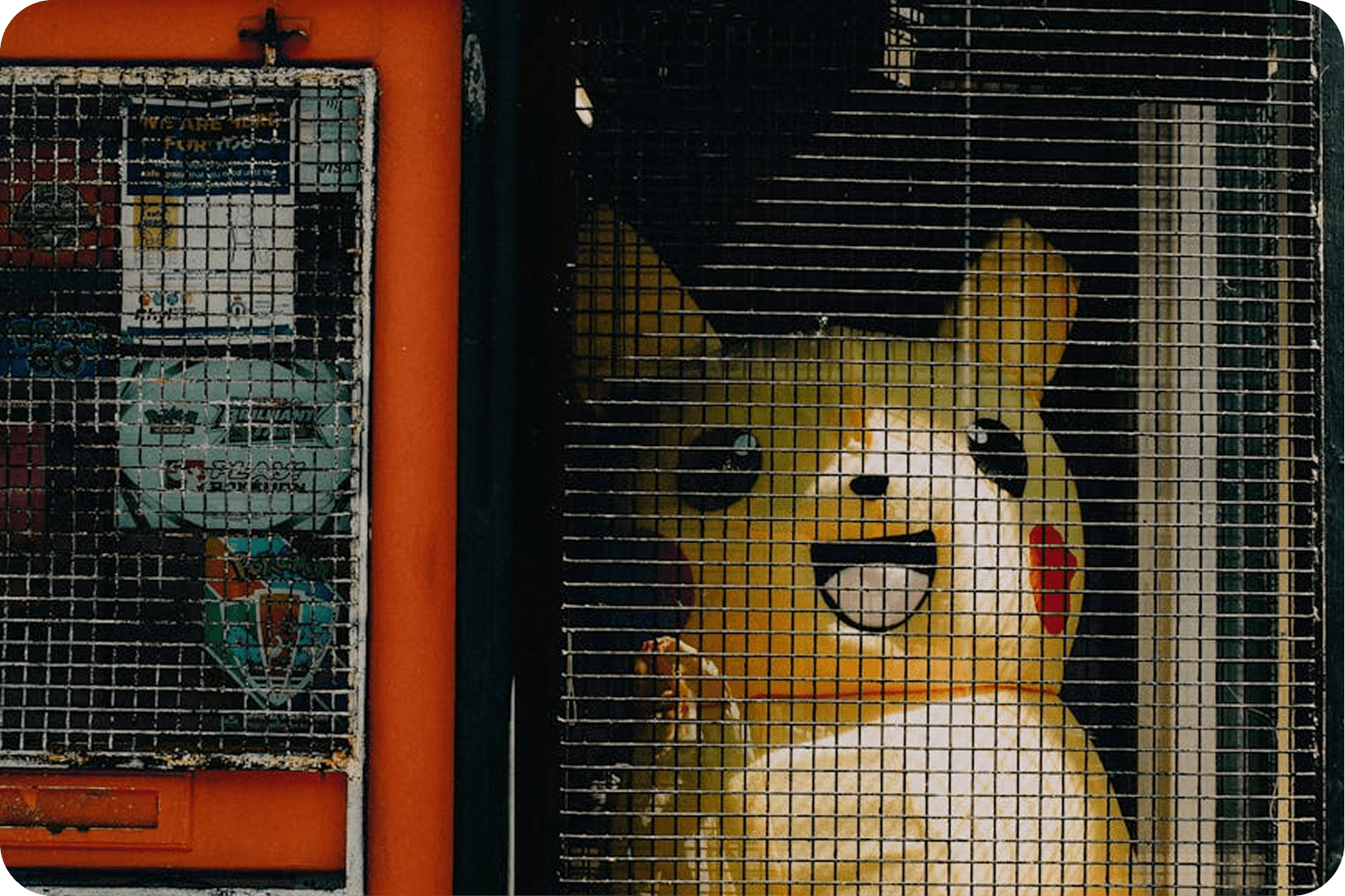 Guide complet : Comment bien conserver ses cartes Pokémon